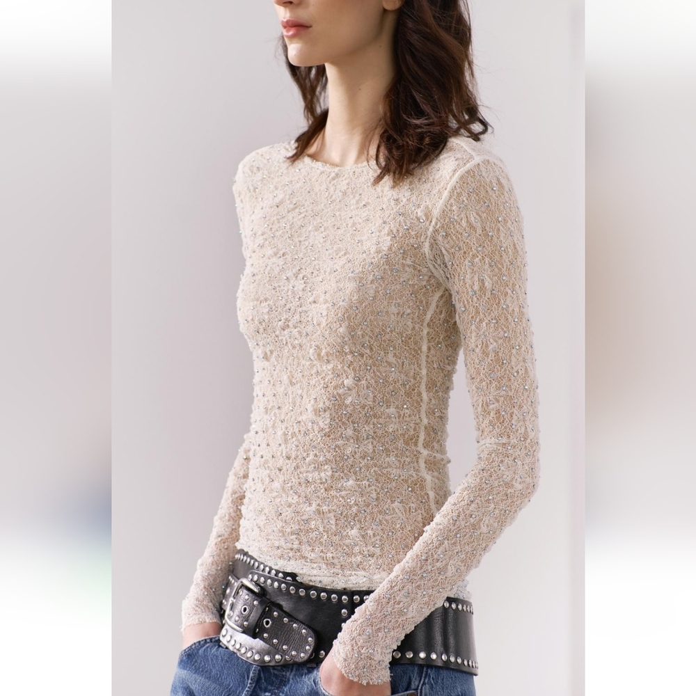 NWT ZARA SHIMMERY LACE TOP